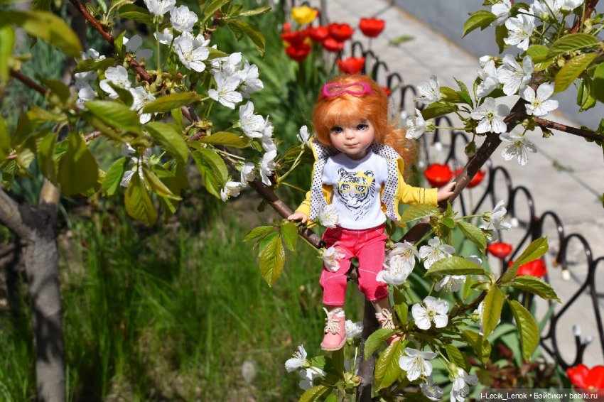 Моя Полинка — Домашние фото авторских кукол: личные коллекции