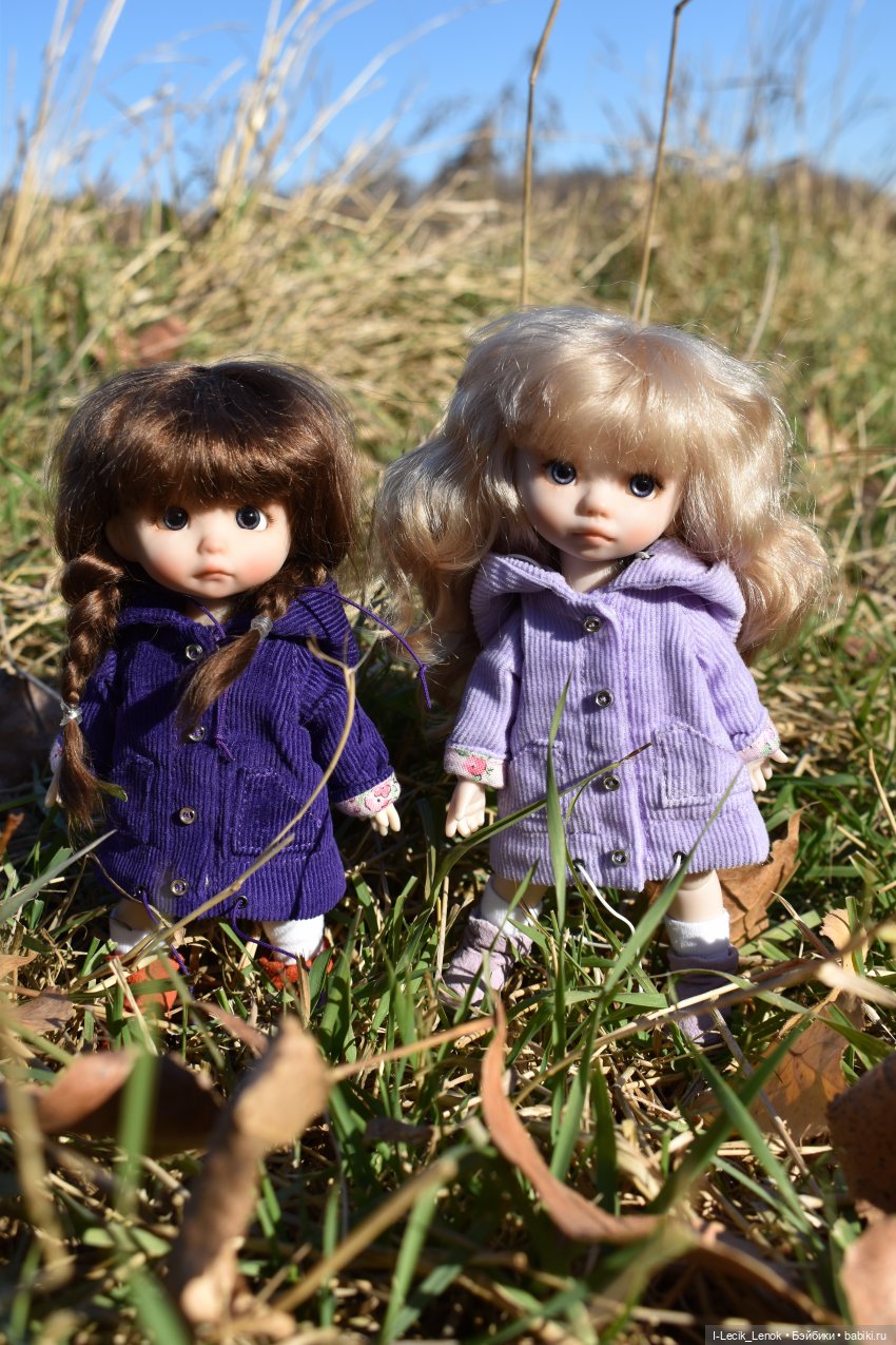 Осенняя пора...🍁 — Домашние фото авторских кукол: личные коллекции (фото 6)