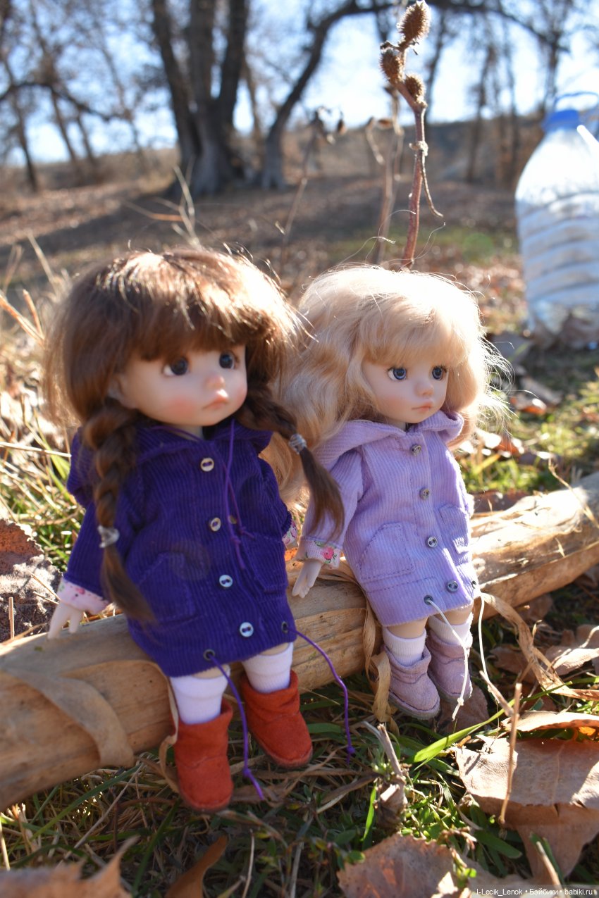 Осенняя пора...🍁 — Домашние фото авторских кукол: личные коллекции (фото 7)