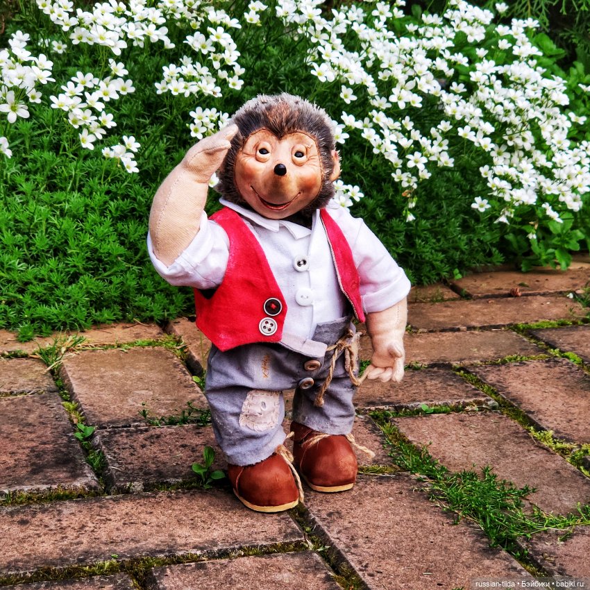 Ёжик Мекки с гитарой