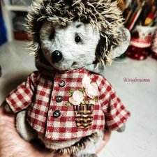 Мои ёжики тедди