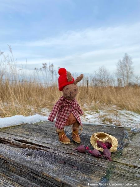 Фрукты-овощи для людей и кукол