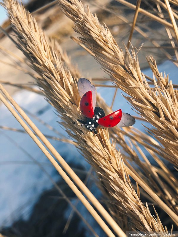 Прихватили с собой ещё подружку