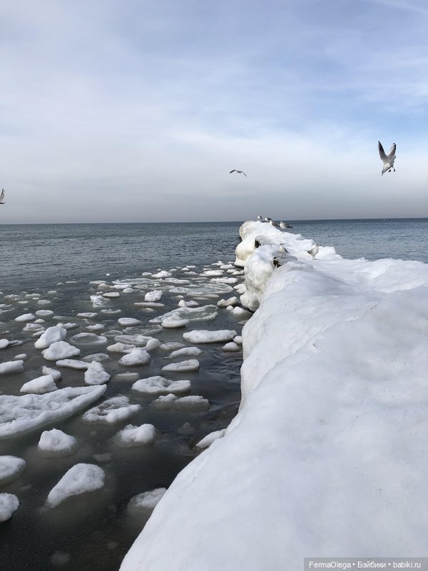 Балтика во льдах! Что большая редкость