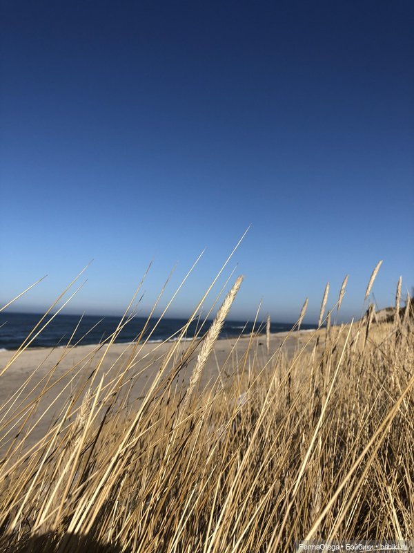 Балтийское побережье