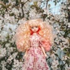 Кэнди и цветущие вишни