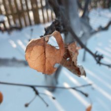 Всем радости и счастья