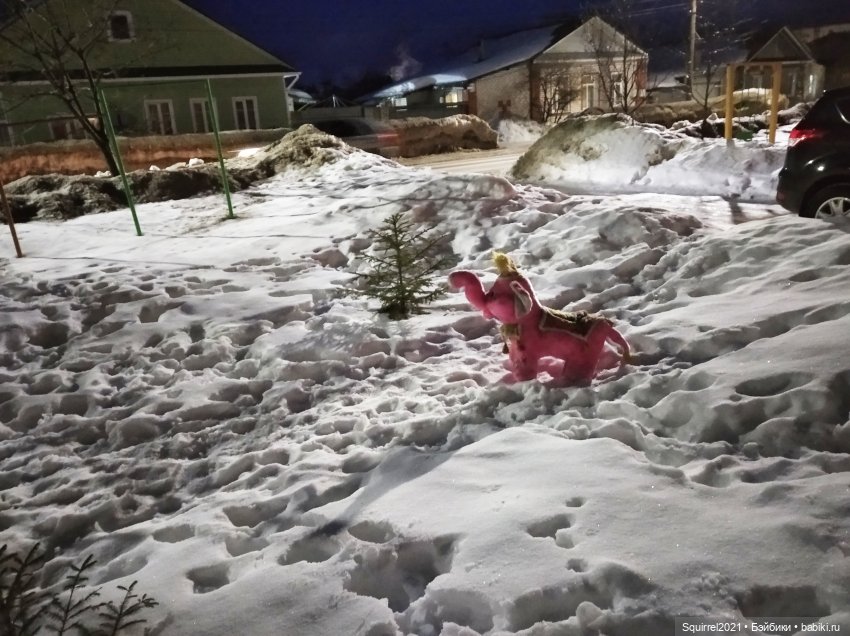Однажды темным зимним вечером... Или Айболит поневоле