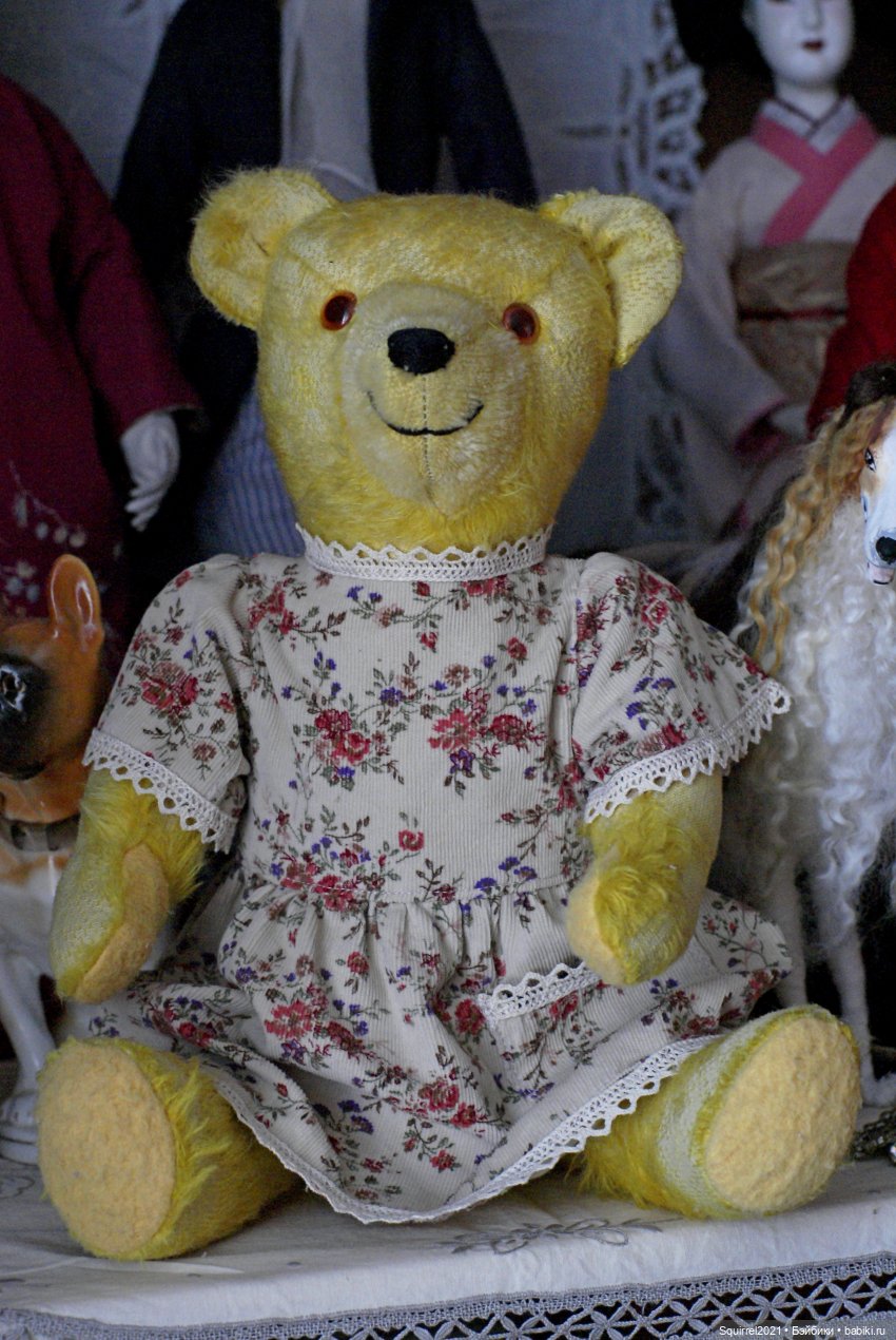 Однажды темным зимним вечером... Или Айболит поневоле