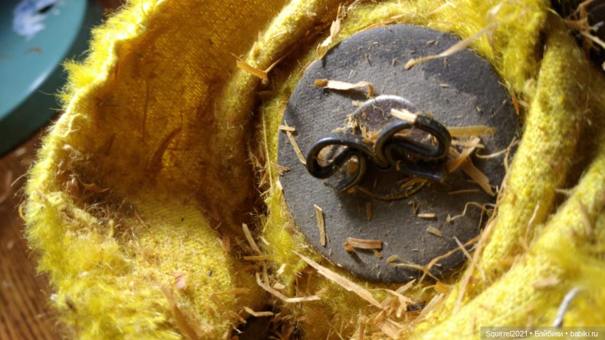 Однажды темным зимним вечером... Или Айболит поневоле (фото 6)