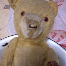 Однажды темным зимним вечером... Или Айболит поневоле