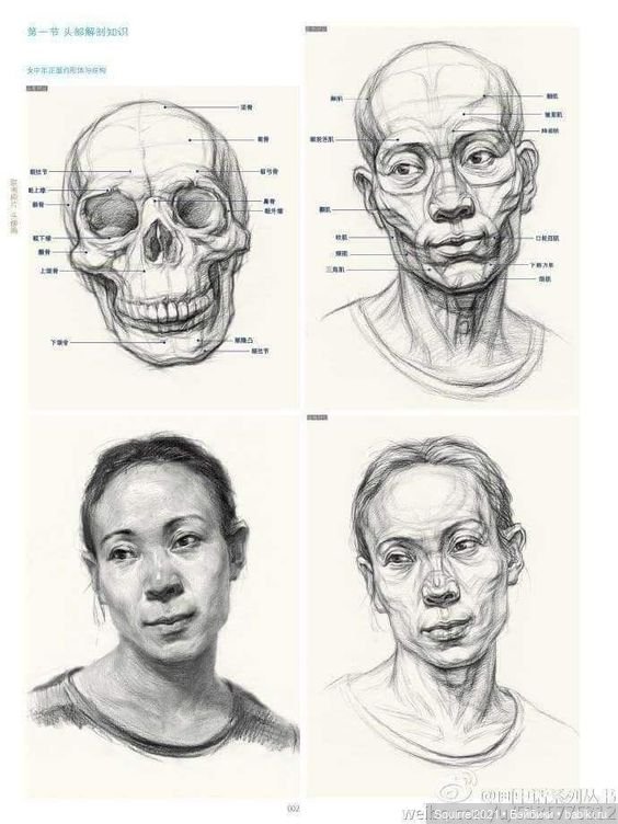 Как стать скульптором — Реставрация и преображение кукол: ремонт (фото 3)