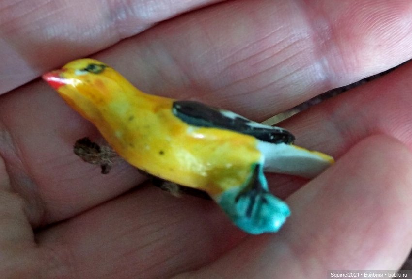 Совсем не "райские" птички (фото 4)