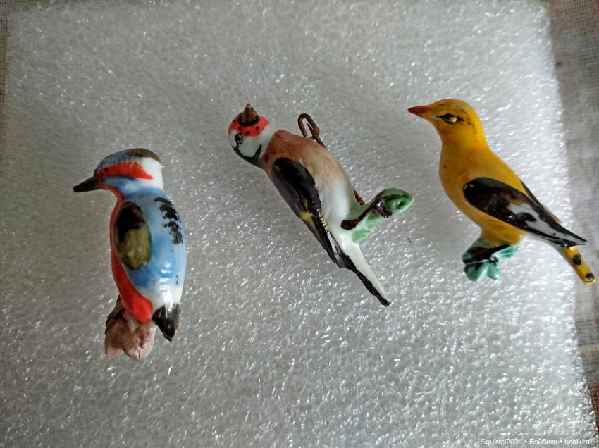 Совсем не "райские" птички