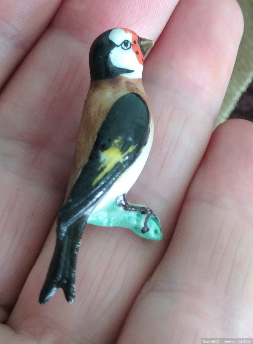 Совсем не "райские" птички (фото 5)