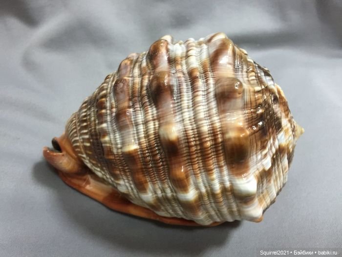 Околокукольные нужности. Камеи (фото 3)