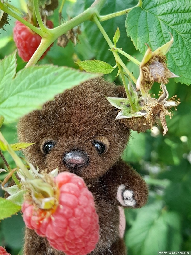 По малину в сад пойдем — Авторские мишки Тедди и друзья: фото (фото 4)