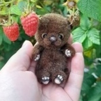 По малину в сад пойдем