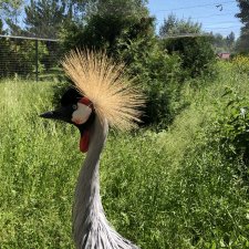 Не могу не поделиться