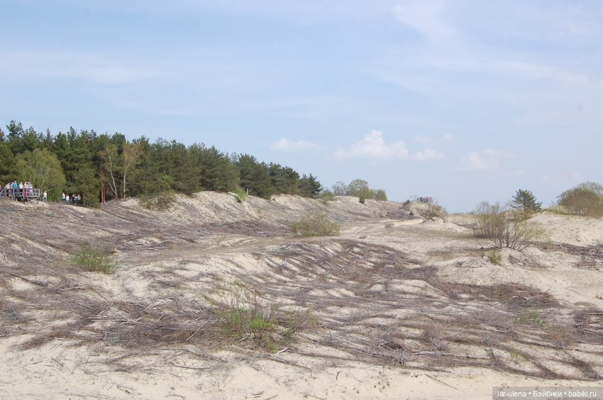 Летнее путешествие Баболки (фото 7)