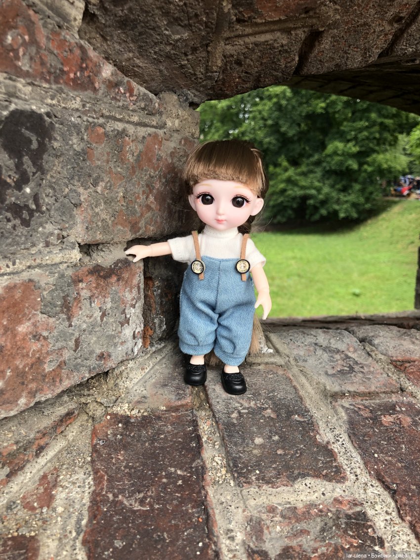 Летнее путешествие Баболки (фото 10)