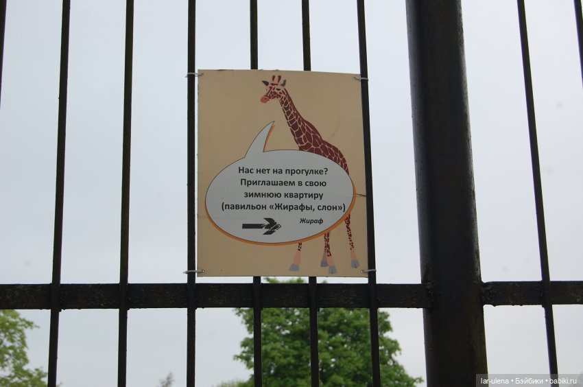 Летнее путешествие Баболки (фото 3)