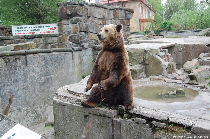 фото от предыдущей поездки