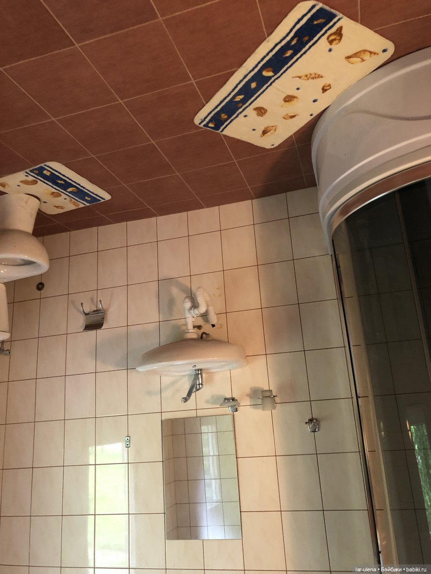 Летнее путешествие Баболки