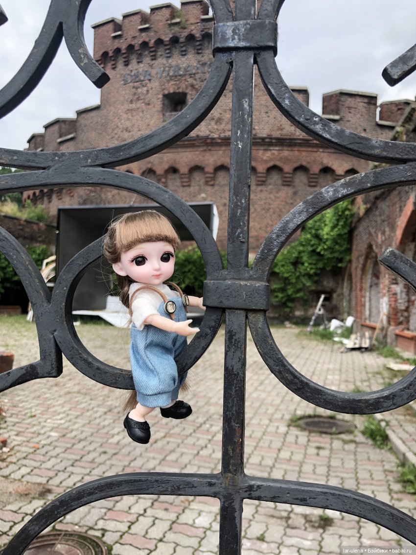 Летнее путешествие Баболки