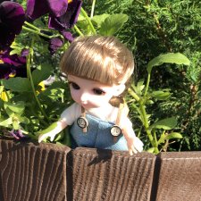 Летнее путешествие Баболки