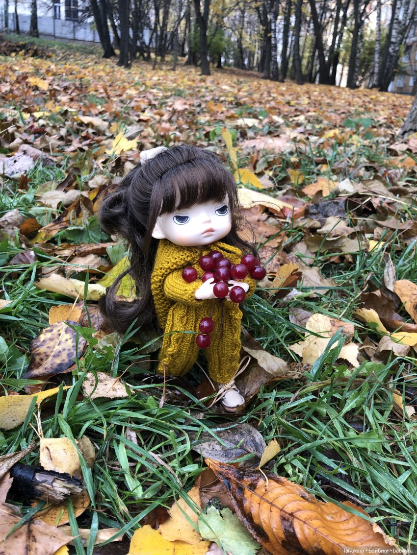 Золотая осень — Болталка и разговоры обо всем: жизнь