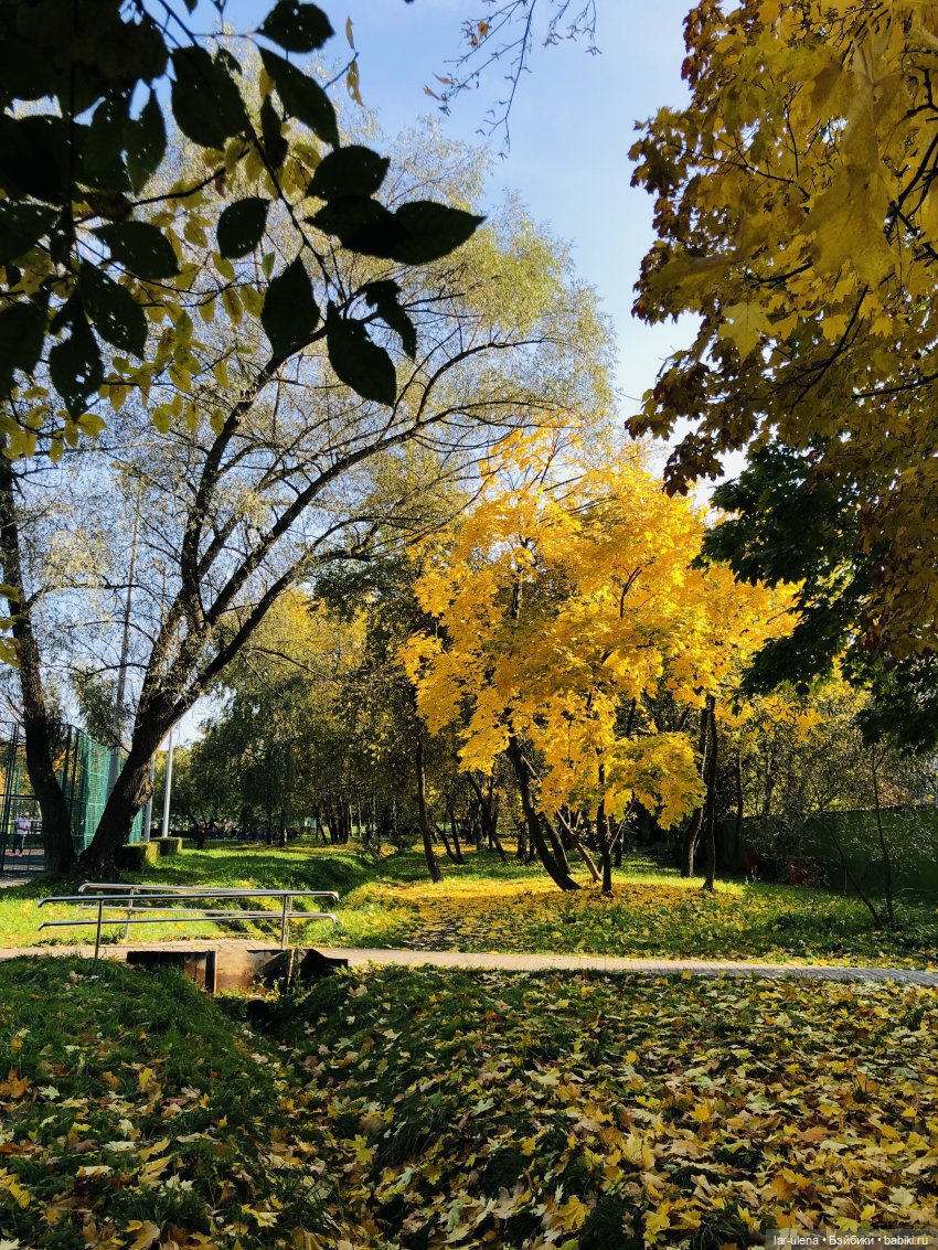 Золотая осень — Болталка и разговоры обо всем: жизнь (фото 2)