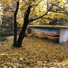 Золотая осень