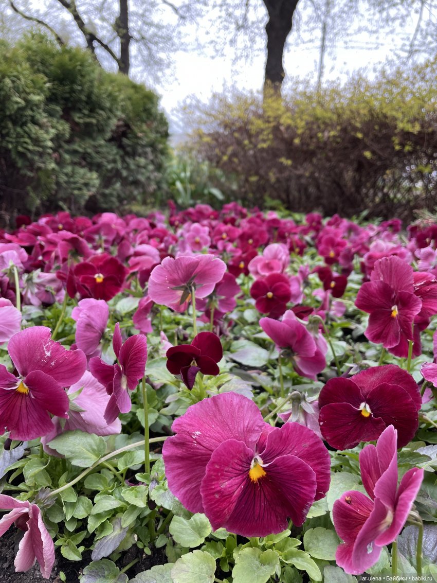 Майские прогулки — Игровые куклы разных производителей (Разное): редкие бренды