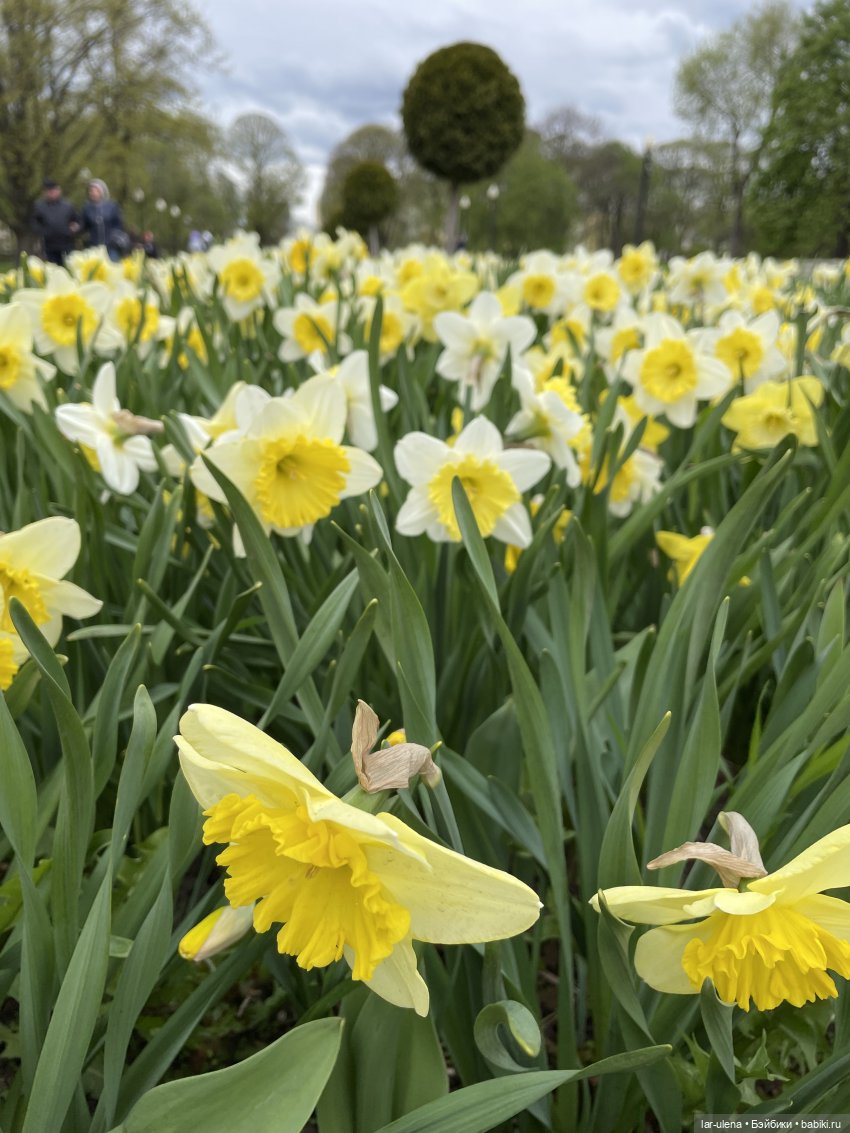 Майские прогулки — Игровые куклы разных производителей (Разное): редкие бренды (фото 7)