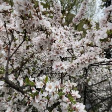 Майские прогулки