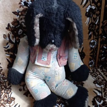 Линька старого пса