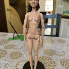 Barbie Роза Паркс на теле мтм