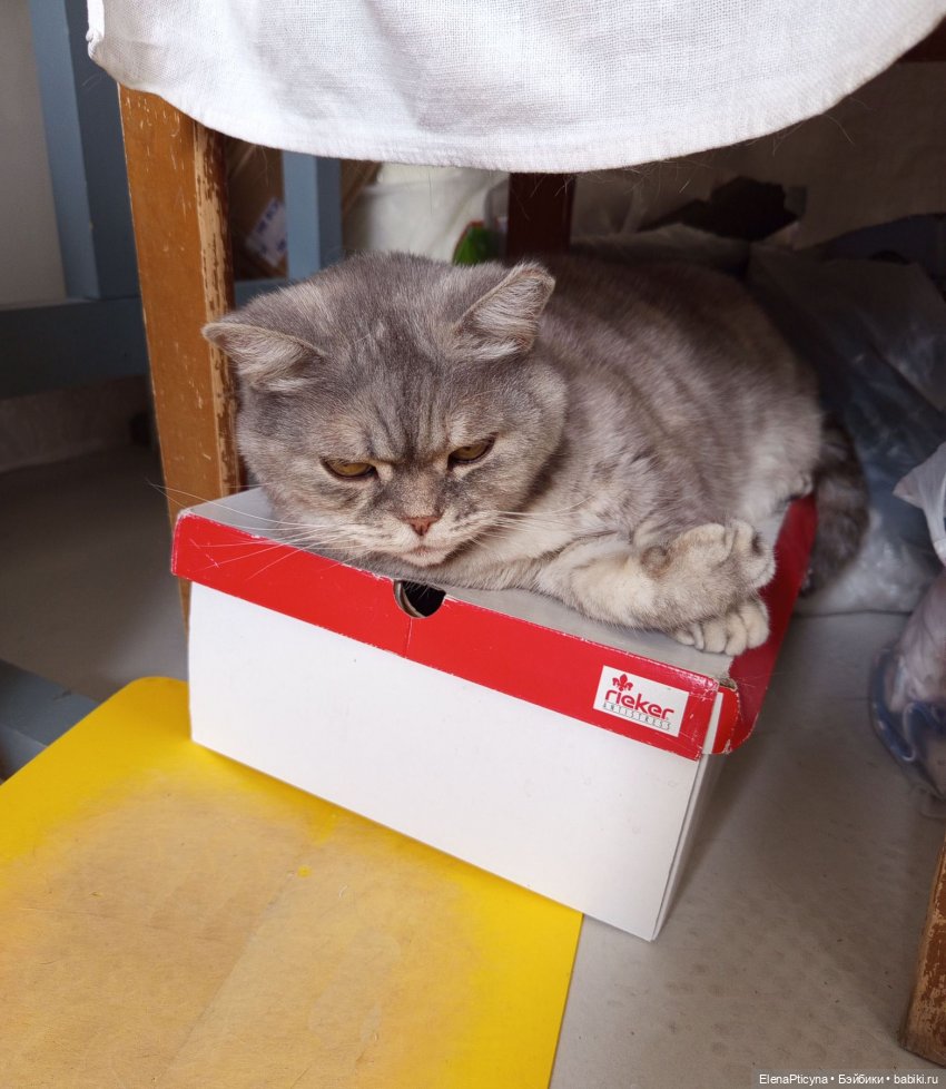 Шушенские — Ремонт кукол СССР и ГДР (немок): чернота