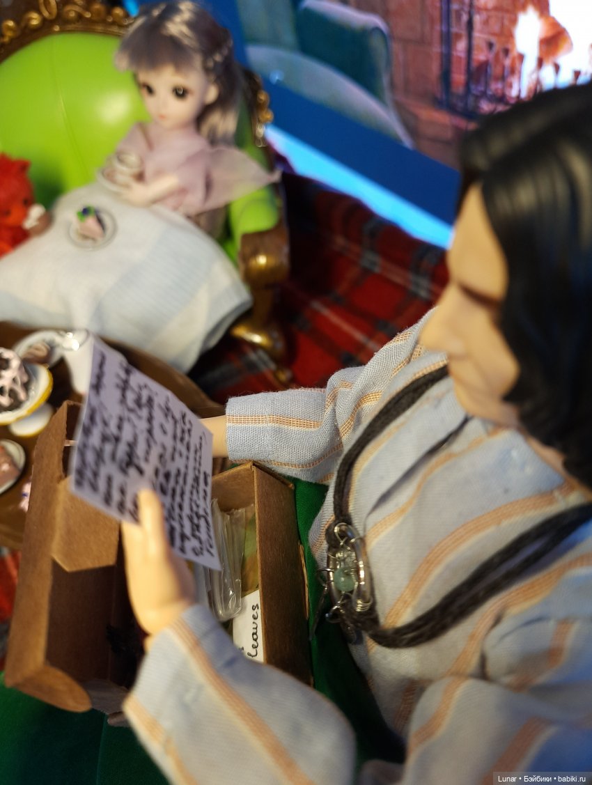 Посылка от старого друга — Кукольные фотоистории и сериалы: комиксы (фото 7)