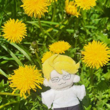 Фото-прогулка маленького Ронни