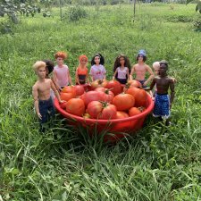 На сборе урожая. Часть 2