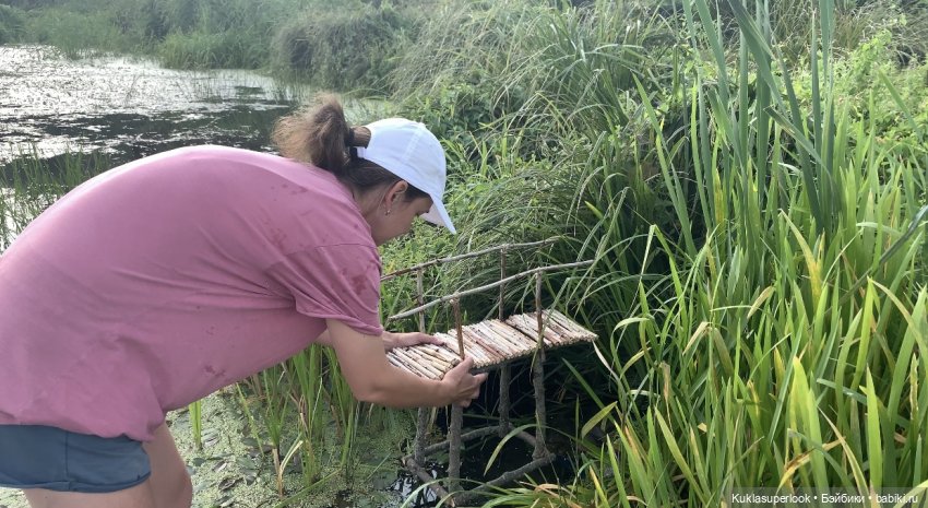 На пруду | Бэйбики На пруду — Куклы Barbie (Барби): Looks (фото 7)