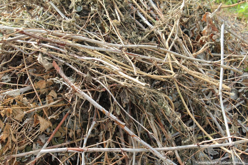 На пруду | Бэйбики На пруду — Куклы Barbie (Барби): Looks