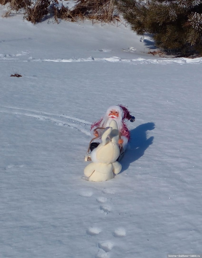 Как Деды Морозы искали Зайца (фото 6)