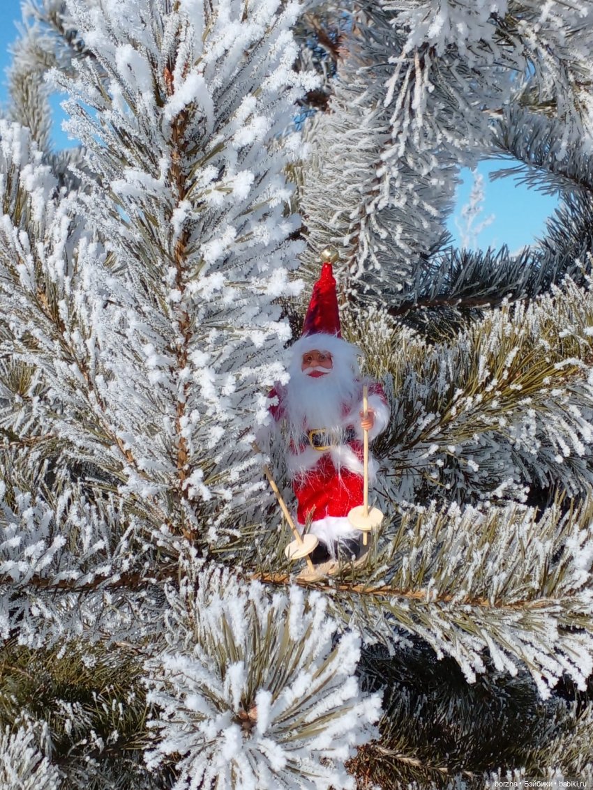 Как Деды Морозы искали Зайца (фото 3)