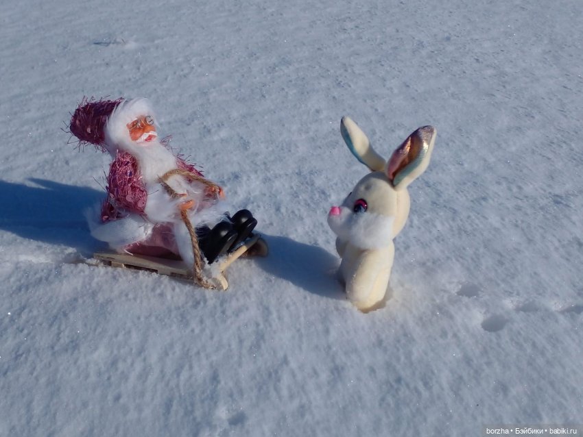 Как Деды Морозы искали Зайца (фото 8)