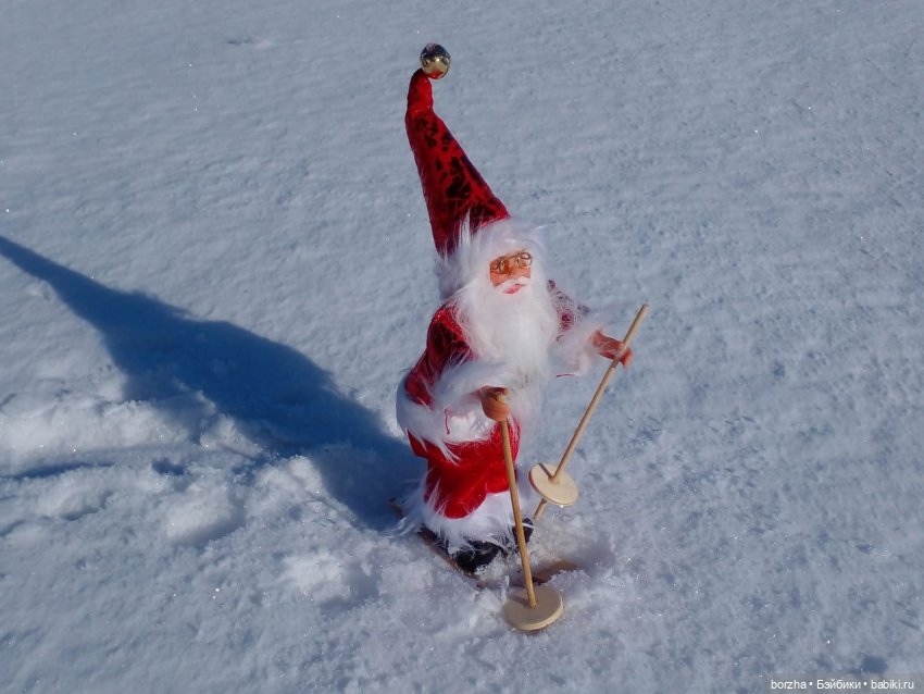 Как Деды Морозы искали Зайца (фото 9)