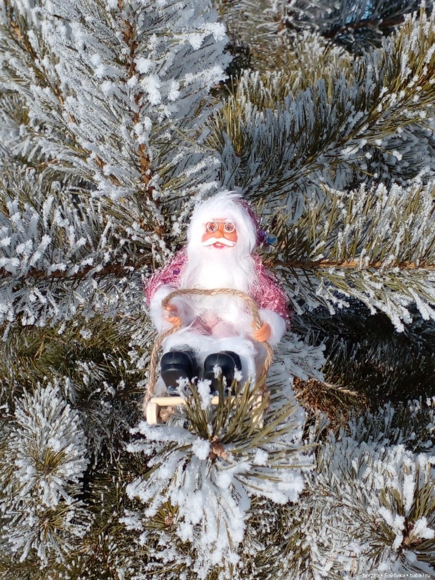 Как Деды Морозы искали Зайца (фото 2)