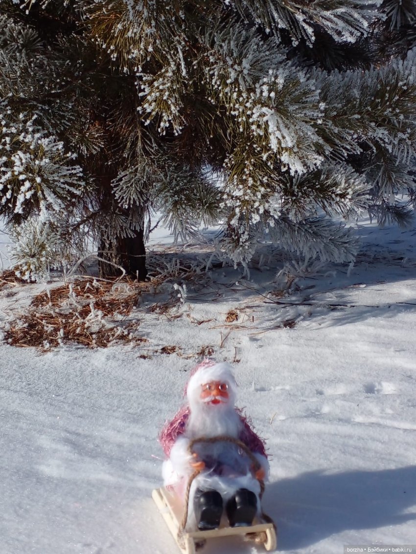 Как Деды Морозы искали Зайца (фото 4)